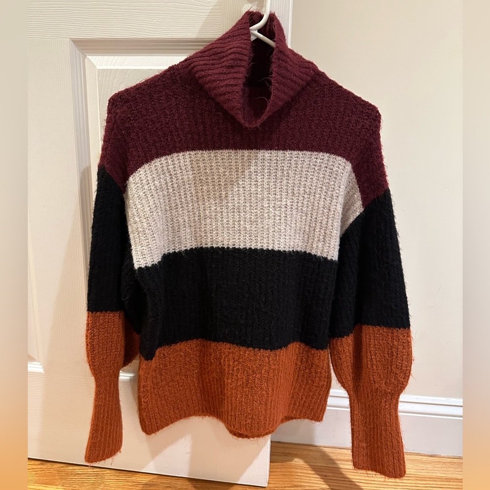 Express Turtleneck Hoodie